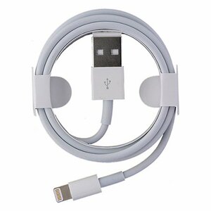 APPLE Lightning naar USB-A kabel (1M)