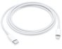APPLE Lightning naar USB-C kabel (1M)_